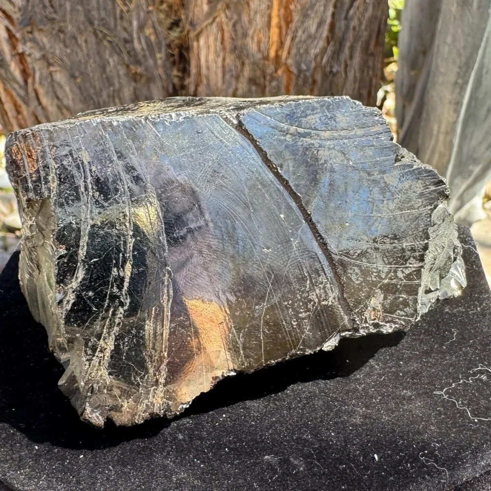 Elite Noble Shungite Raw Specimen